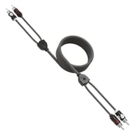 WWX-RCA-2CH12FT small