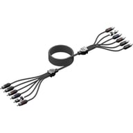 WWX-RCA-6CH5FT small