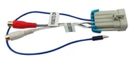 RCDRCA small