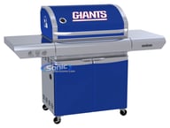PMV06092NFLNYG01 big