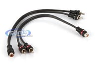 ZN1Y2M small