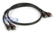ZN1205 big