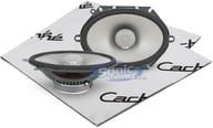 6832cf_CSM big