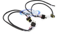 HILO-CANC-H4 small