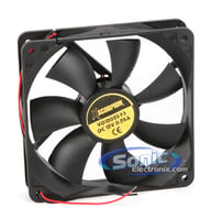 FAN61 big