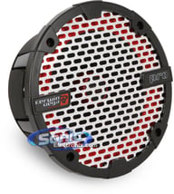 CVMP6.5 big