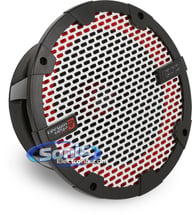 CVMP8.0 big