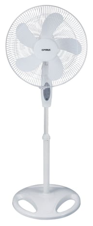 FNOP1670 big