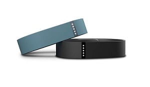 Fitbit One