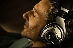 HD700 High Performance Headphones