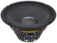 SKAR Audio PAX-6.5 4