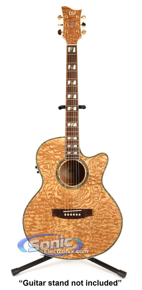 ESP EW-NAT (QA) Image 1