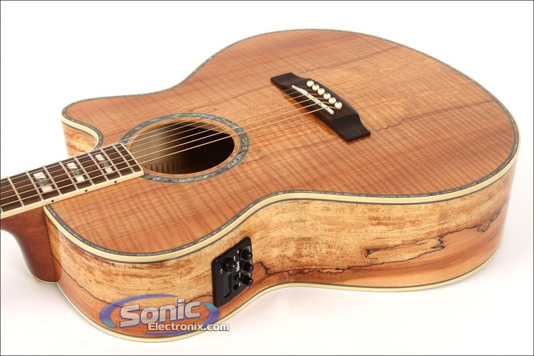 ESP EW-NAT (SM) Image 4