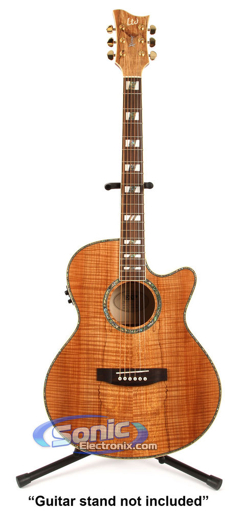 ESP EW-NAT (SM) Image 1