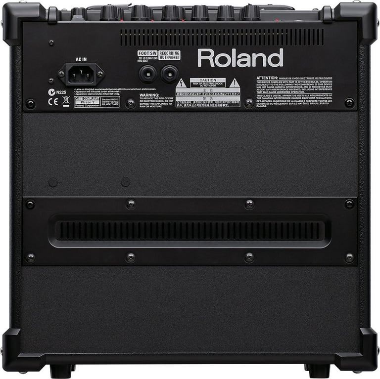 Roland CUBE-20GX Image 4