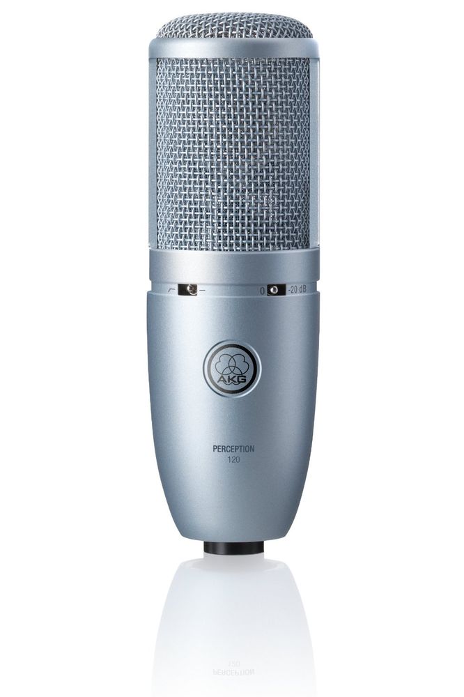 AKG P120 Image 1