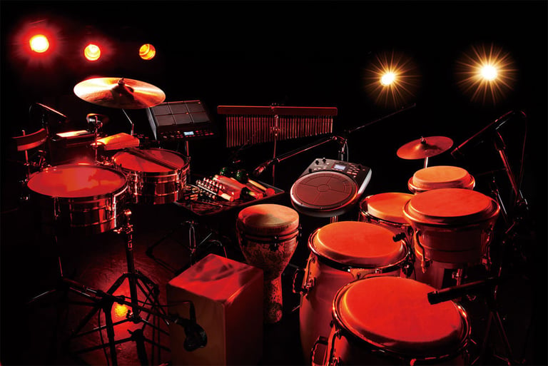 Roland HPD-20 Image 7