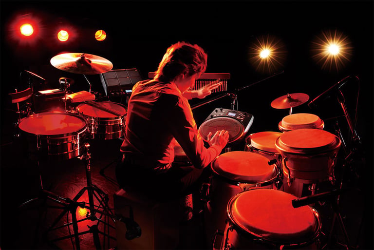 Roland HPD-20 Image 8
