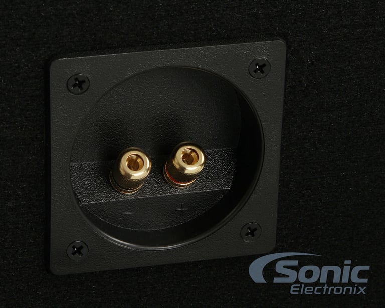 Loaded Ported Enclosure w/ Pair of Boss NX120DVC Image 6