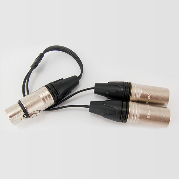 Audeze B4-3XLR Image 2