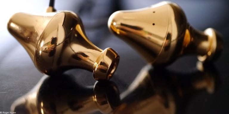Final Audio Design Piano Forte X-G G (Gold Plated Chromium Copper) Image 3
