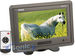Absolute PHM-709-Gray thumbnail