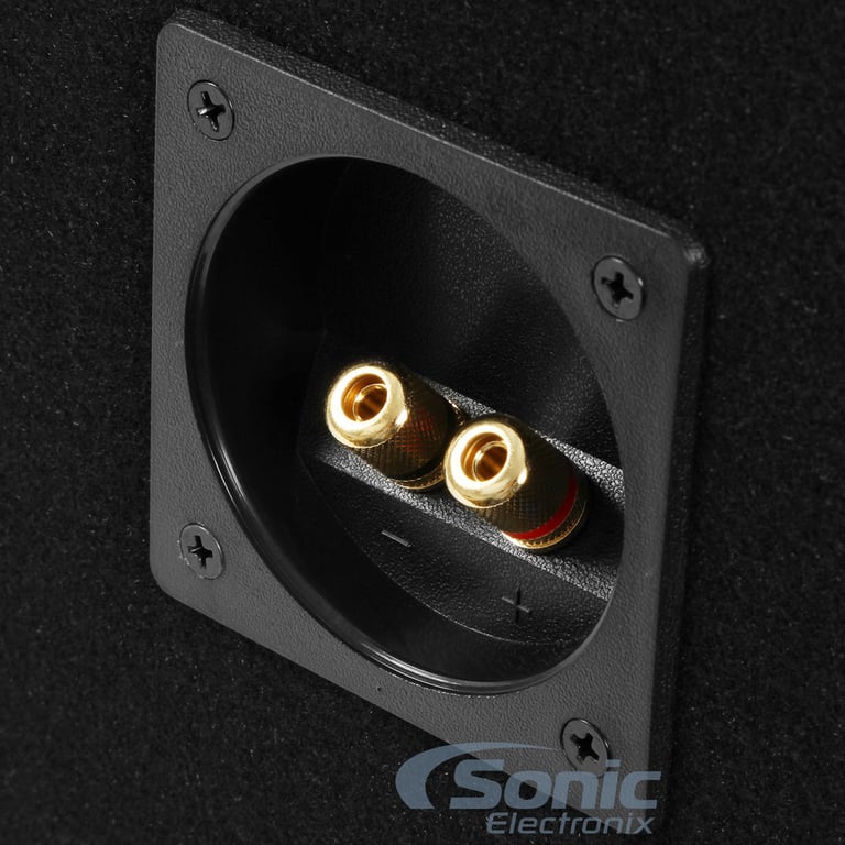 Pioneer TS-W261S4 + Ported Enclosure Image 11