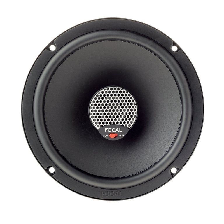 Focal ICU165 Image 2