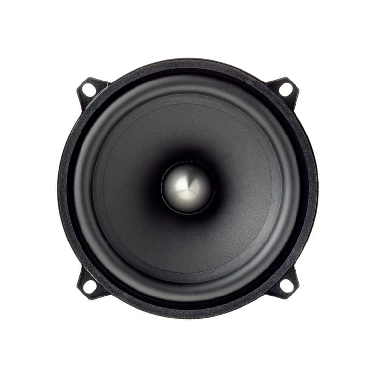 Focal ISU130 Image 2