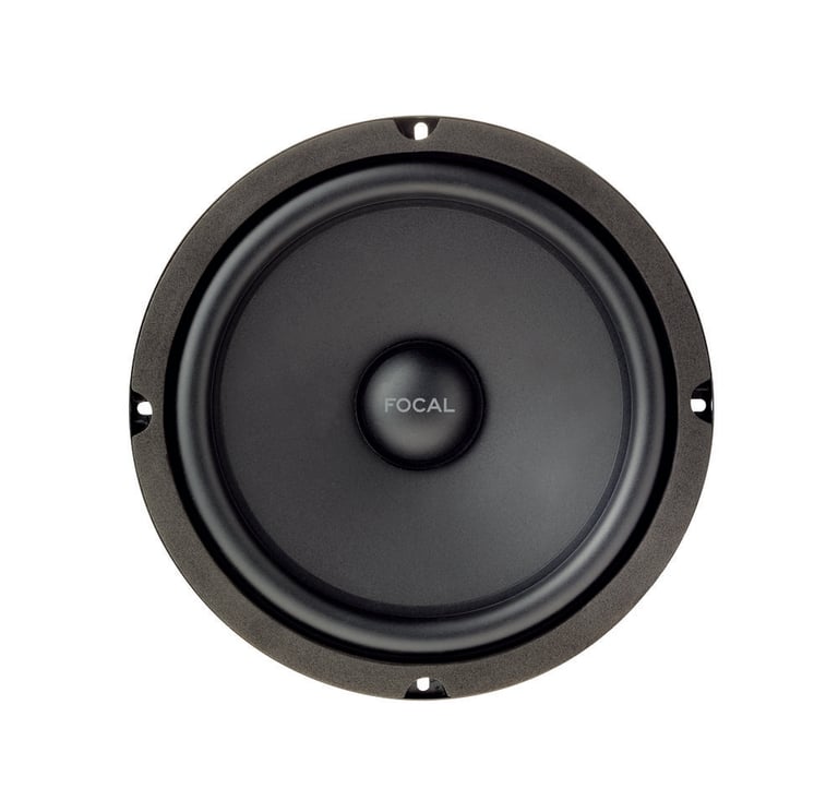 Focal ISU200 Image 2
