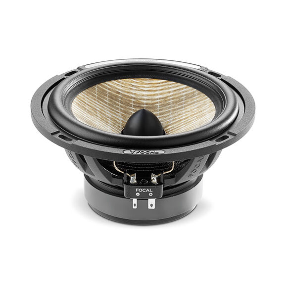 Focal PS165FXE Image 3