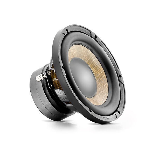 Focal SUB P20FE Image 1