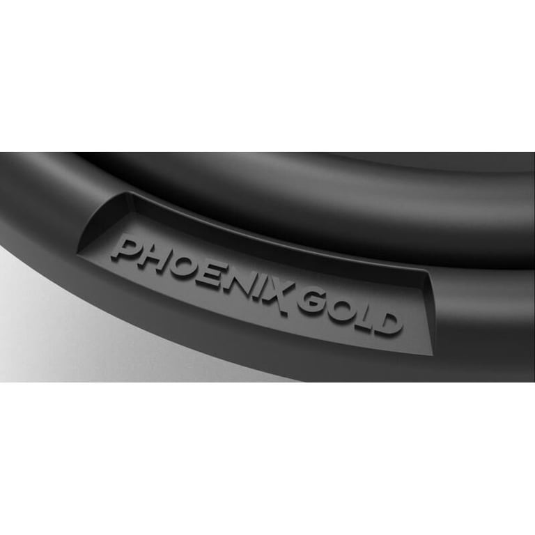 Phoenix Gold RX2 10D Image 3