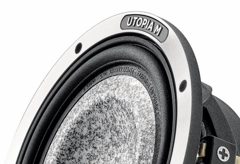 Focal 3.5WM + Free $100 Gift Card Image 8