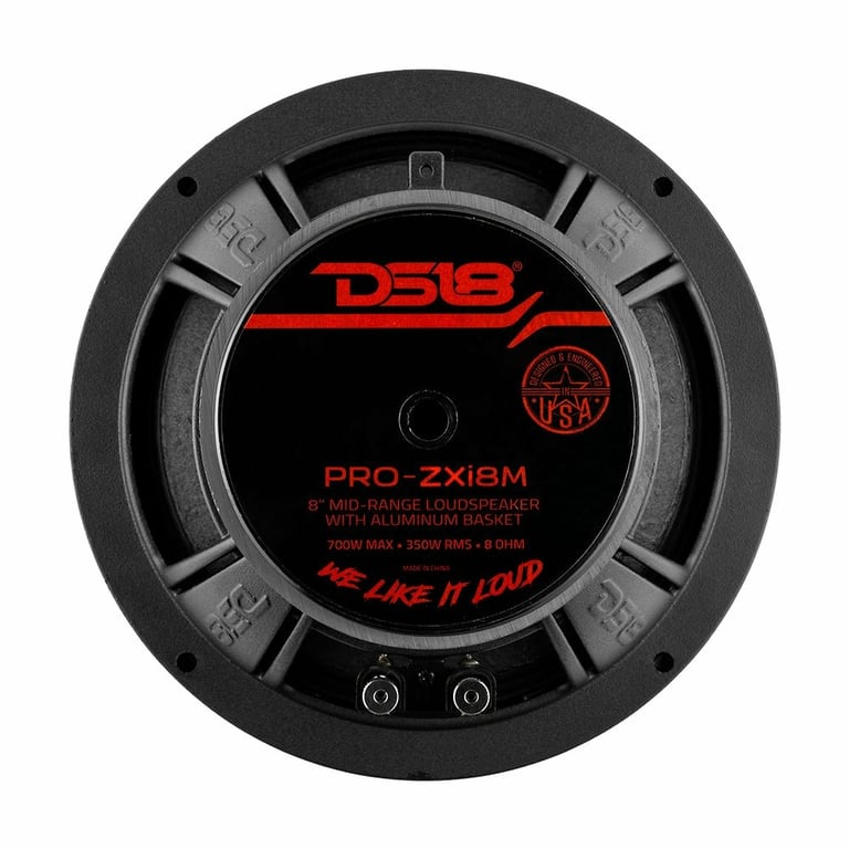 DS18 PRO-ZXI8M with Speaker Installation Kit Image 43