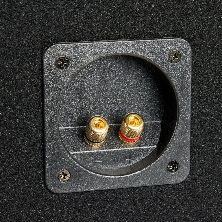 Alpine R2-W10D2 with Ported Enclosure Image 3