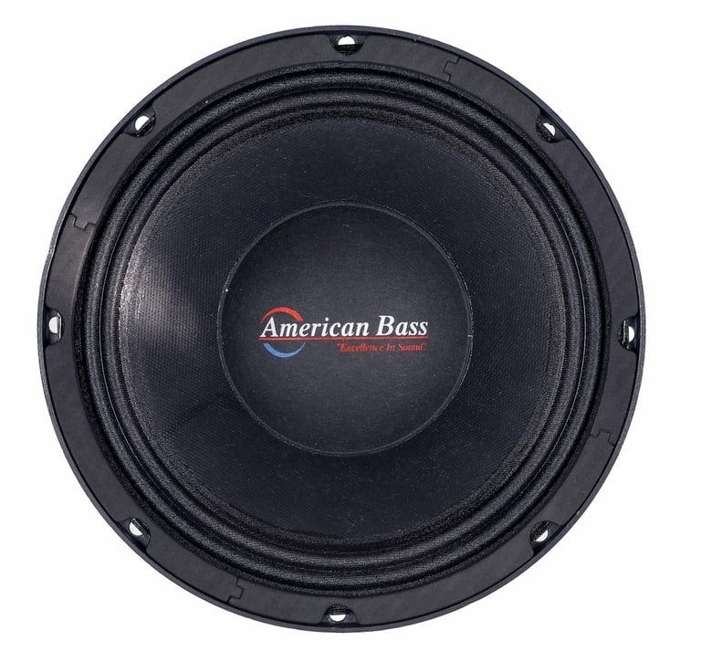 American Bass GFPRO-10-MB (Sold Individually) Image 1