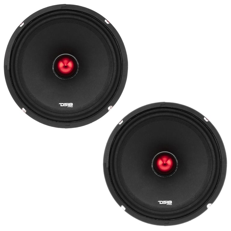 DS18 PRO-X10BM (Pair) Image 1