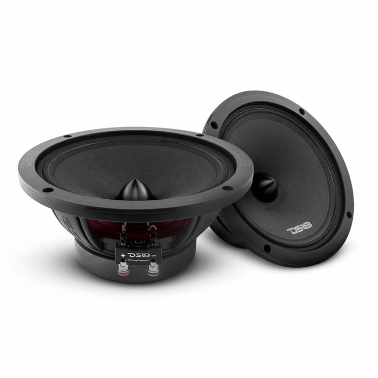 DS18 PRO-ZXI8.4BM (Sold Individually) with Sound Damping Image 4