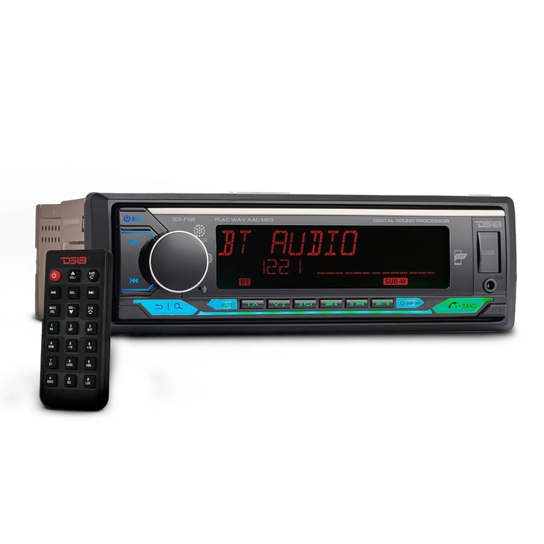 DS18 SDX-P100 Image 2