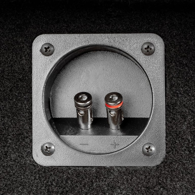 NVX BOOST Box Package with JL Audio 10" Subwoofer Image 8