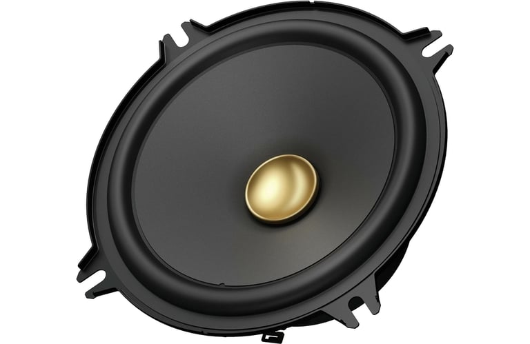 Pioneer TS-A1301C with Sound Damping Image 3