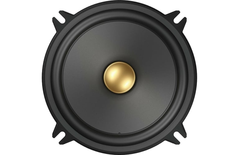 Pioneer TS-A1301C with Sound Damping Image 4