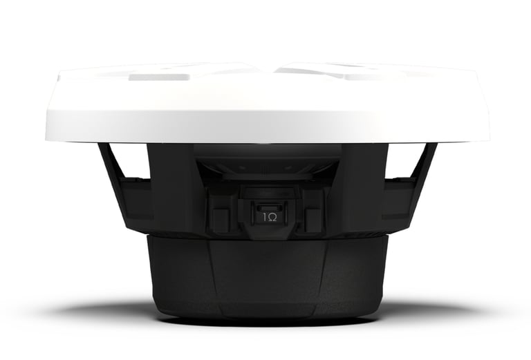 Rockford Fosgate M2D4-10S-G2 Image 8