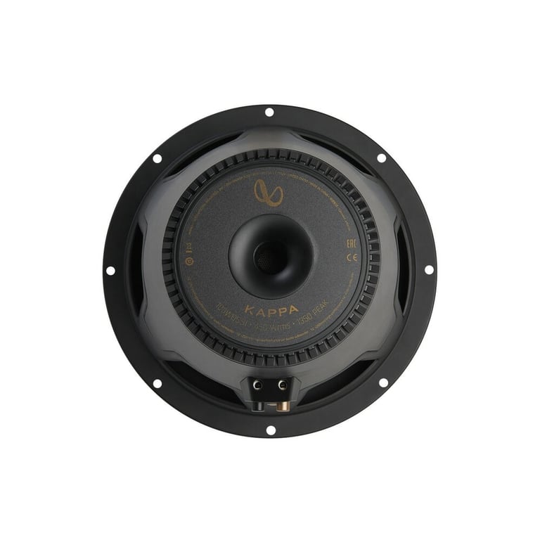 Infinity Kappa 103WDSSI w/ Atrend 10DVR - Black Carbon Fiber Image 5
