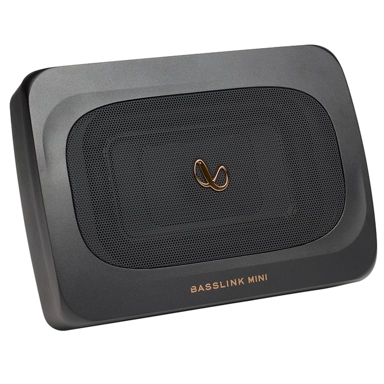 Infinity BassLink Mini Image 1
