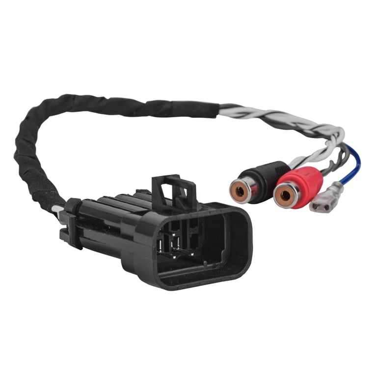 DS18 RZR-RC Image 3