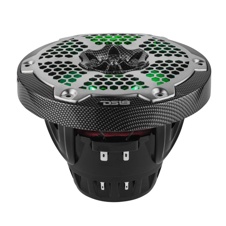 DS18 CF-6MD (Open Box, Great) Image 7
