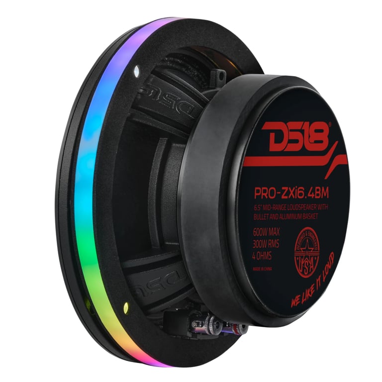 DS18 DLRING6 Image 3