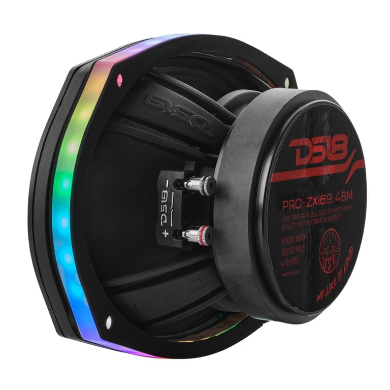 DS18 DLRING69 Image 3